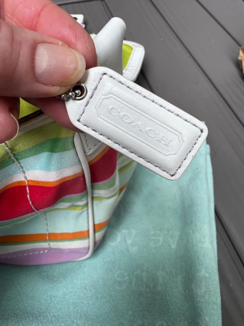 Coach hampton multicolor